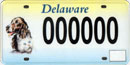 Animal Welfare tag